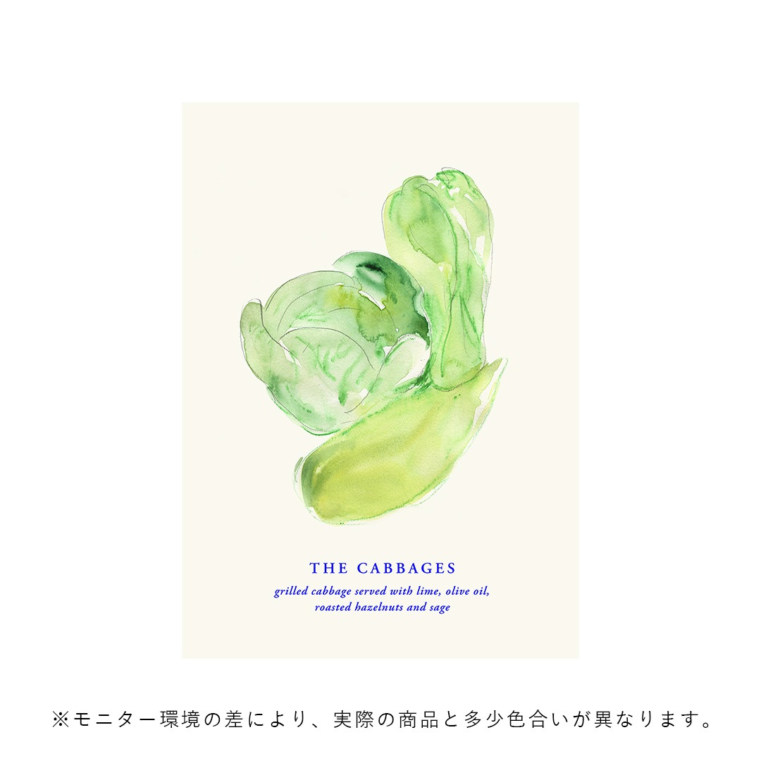 �ڥ����ڡ����оݡۡڤ����󤻡�Paper Collective (�ڡ��ѡ����쥯�ƥ���) �ݥ����� ��50��70��The Cabbages �̲�/����ƥꥢ/������/������������Ź��