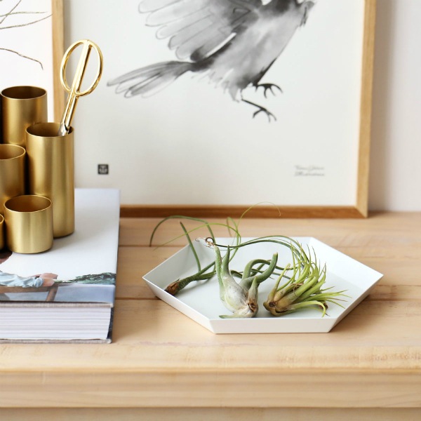 HAY (إ)<br>Kaleido(쥤) ȥ쥤 S<br>ۥ磻<br>̲/ƥꥢ