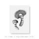 Teemu Jarvi (�ơ��ࡦ������) �ݥ����� A5 MATSUTAKE MUSHROOM �ʾ������̲�/����ƥꥢ/������������Ź�ʡڥ᡼���ء�