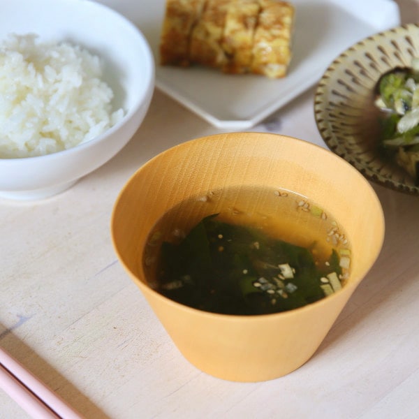 NATURE FUTURe (�ͥ����㡼 �ե塼���㡼) �ե꡼���ɥ饤���������� 5��10�����å� ����Ĵ̣��̵ź��