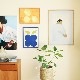 ڥڡоݡۡڤ󤻡Paper Collective (ڡѡ쥯ƥ) ݥ 5070 Back ̲/ƥꥢ//Ź