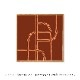 ڥڡоݡۡڤ󤻡Paper Collective (ڡѡ쥯ƥ) ݥ 5050 Branch 03 ̲/ƥꥢ//Ź