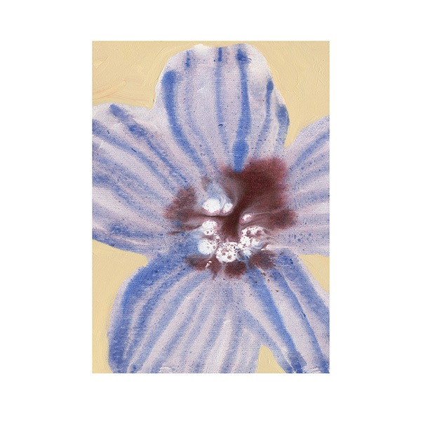 Paper Collective �ݥ�������A4��In Full Bloom 03 �̲� ����ƥꥢ ������ �ڡ��ѡ����쥯�ƥ��� Liat Greenberg ������������Ź�ʡڤ����󤻡ۡڥ����ڡ����оݡۡ�����̵����