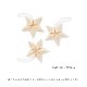 佪λʡ50%OFFferm LIVING (եӥ) Amanda Paper Stars (ޥ ڡѡ) ̲/ƥꥢ/ꥹޥ/ʥ/Ź