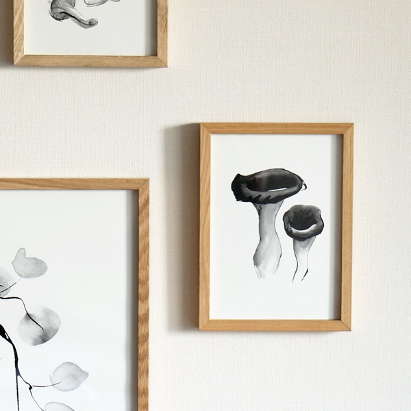 ��50%OFF��Teemu Jarvi (�ơ��ࡦ������) �ݥ����� A5 BLACK TRUMPET MUSHROOM�ʥ֥�å��ȥ��ڥåȥޥå���롼����̲�/����ƥꥢ/������������Ź�ʡڥ᡼���ء�