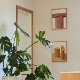 ڥڡоݡۡڤ󤻡Paper Collective (ڡѡ쥯ƥ) ݥ 3040 Piliers 01 ̲/ƥꥢ//Ź