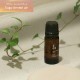 @aroma (���åȥ�����) ���å��󥷥�륪���� ���ץ���ȥ��� 10ml S04 ���å������ӥ塼�ƥ��� ������/�롼��ե쥰���