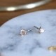 Baqless (�Хå��쥹) �ԥ��� ���ͥ��ƥ��� 4mm ������� ����å��쥹/����å����η� �ڥ᡼���ء�