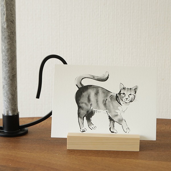 Teemu Jarvi (�ơ��ࡦ������) Postcard (�ݥ��ȥ�����) CAT (�ͥ�) A6 (10.5��14.8cm) �̲�/����ƥꥢ/������������Ź��/�ݥ����� �ڥ᡼���ء�