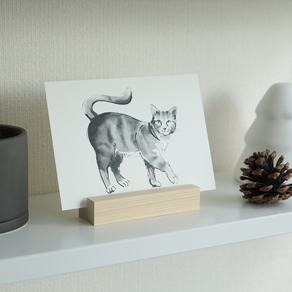 Teemu Jarvi (�ơ��ࡦ������) Postcard (�ݥ��ȥ�����) CAT (�ͥ�) A6 (10.5��14.8cm) �̲�/����ƥꥢ/������������Ź��/�ݥ����� �ڥ᡼���ء�