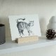 Teemu Jarvi (�ơ��ࡦ������) Postcard (�ݥ��ȥ�����) CAT (�ͥ�) A6 (10.5��14.8cm) �̲�/����ƥꥢ/������������Ź��/�ݥ����� �ڥ᡼���ء�
