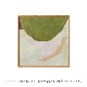 ڥڡоݡۡڤ󤻡Paper Collective (ڡѡ쥯ƥ) ݥ 5050 Ritmo 02 ̲/ƥꥢ//Ź