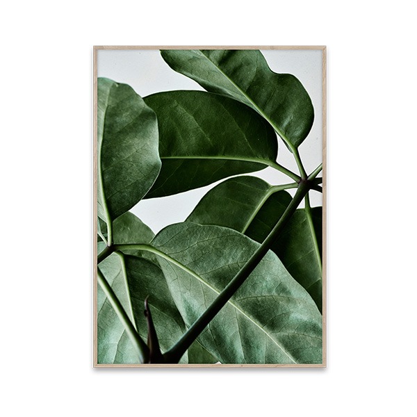 ڥڡоݡۡڤ󤻡Paper Collective (ڡѡ쥯ƥ) ݥ 5070 Green home 01 (꡼ۡ) ̲/ƥꥢ/Ź̵