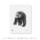 Teemu Jarvi (ơࡦ) ݥ 3040cm GENTLE BEAR (ȥ٥) ̲/ƥꥢ/Ź