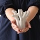 Cooee Design (ǥ) Sculpture The Coral Tree (ץ奢 ĥ꡼) /饤ॹȡ ̲/ƥꥢ/֥//Ź