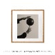 ڥڡоݡۡڤ󤻡Paper Collective (ڡѡ쥯ƥ) ݥ 5050 Play  ̲/ƥꥢ//Ź