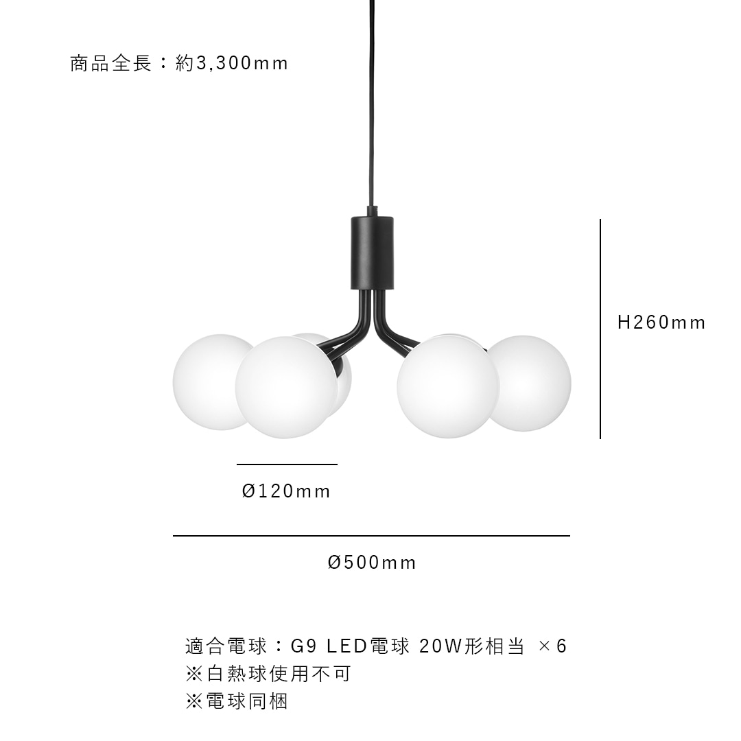 �ڤ����󤻡� NUURA (�̡���) APIALES 6 (���ԥ��쥹 6 �ڥ����ȥ���) ���ݥ�����󥰻��� �֥饹/�֥�å� ����/�̲�/����ƥꥢ ���緿������