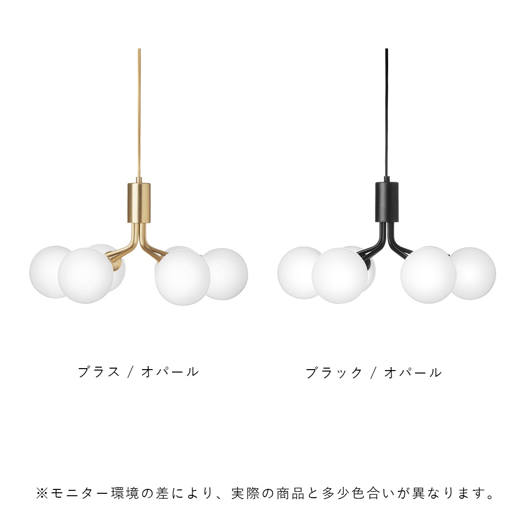 �ڤ����󤻡� NUURA (�̡���) APIALES 6 (���ԥ��쥹 6 �ڥ����ȥ���) ���ݥ�����󥰻��� �֥饹/�֥�å� ����/�̲�/����ƥꥢ ���緿������