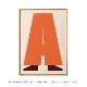 ڥڡоݡۡڤ󤻡Paper Collective (ڡѡ쥯ƥ) ݥ 5070 A ̲/ƥꥢ//Ź