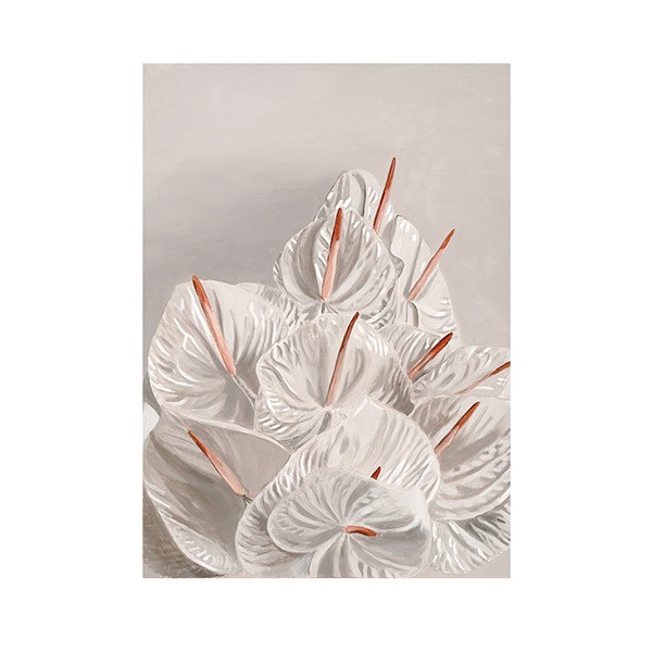 Paper Collective �ݥ�������A4��White In White �̲� ����ƥꥢ ������ �ڡ��ѡ����쥯�ƥ��� Joanna Valtner ������������Ź�ʡڤ����󤻡ۡڥ����ڡ����оݡۡ�����̵����