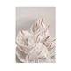 Paper Collective �ݥ�������A4��White In White �̲� ����ƥꥢ ������ �ڡ��ѡ����쥯�ƥ��� Joanna Valtner ������������Ź�ʡڤ����󤻡ۡڥ����ڡ����оݡۡ�����̵����