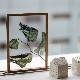 ڥڡоݡۡڤ󤻡Paper Collective (ڡѡ쥯ƥ) ݥ A4 Floating Leaves 03 ꥢ ̲/ƥꥢ/Ź