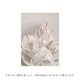 �ڥ����ڡ����оݡۡڤ����󤻡�Paper Collective (�ڡ��ѡ����쥯�ƥ���) �ݥ����� ��50��70�� White In White �̲�/����ƥꥢ/������/������������Ź�ʡڿ��ǥ������