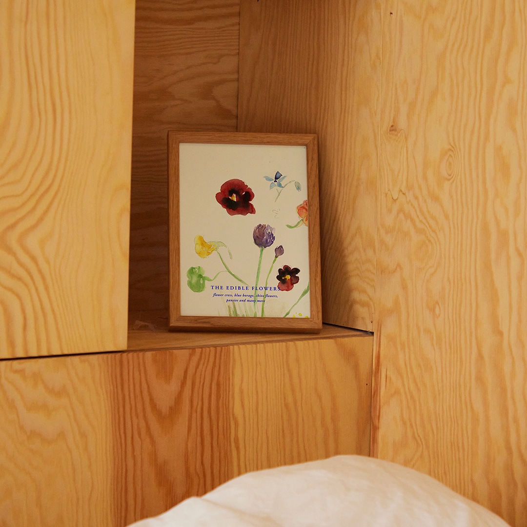 �ڥ����ڡ����оݡۡڤ����󤻡�Paper Collective (�ڡ��ѡ����쥯�ƥ���) �ݥ����� ��A4�� The Edible Flowers �̲�/����ƥꥢ/������/������������Ź��