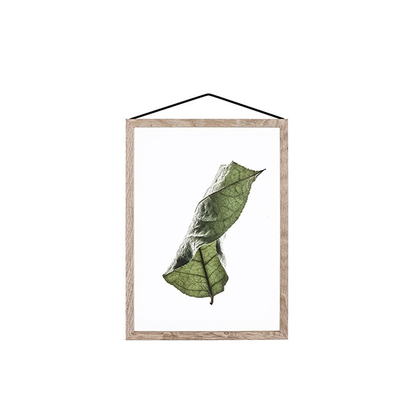 ڥڡоݡۡڤ󤻡Paper Collective (ڡѡ쥯ƥ) ݥ A5 Floating Leaves 04 ꥢ ̲/ƥꥢ/Ź