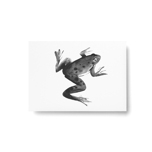 Teemu Jarvi (�ơ��ࡦ������) �ݥ��ȥ����� A6 FROG (������) �̲�/����ƥꥢ/������������Ź��/�ݥ������ڥ᡼���ء�