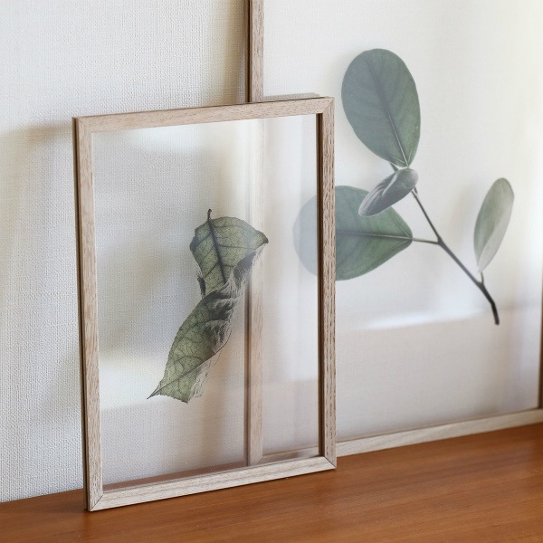 ڥڡоݡۡڤ󤻡Paper Collective (ڡѡ쥯ƥ) ݥ A4 Floating Leaves 04 ꥢ ̲/ƥꥢ/Ź