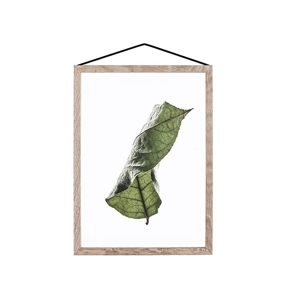 ڼȯPaper Collective (ڡѡ쥯ƥ) ݥ A4 Floating Leaves 04 ꥢ ̲/ƥꥢ/Ź