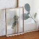 ڥڡоݡۡڤ󤻡Paper Collective (ڡѡ쥯ƥ) ݥ A4 Floating Leaves 04 ꥢ ̲/ƥꥢ/Ź