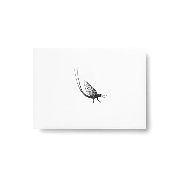 Teemu Jarvi (�ơ��ࡦ������) �ݥ��ȥ����� A6 MAYFLY (��������) �̲�/����ƥꥢ/������������Ź��/�ݥ������ڥ᡼���ء�