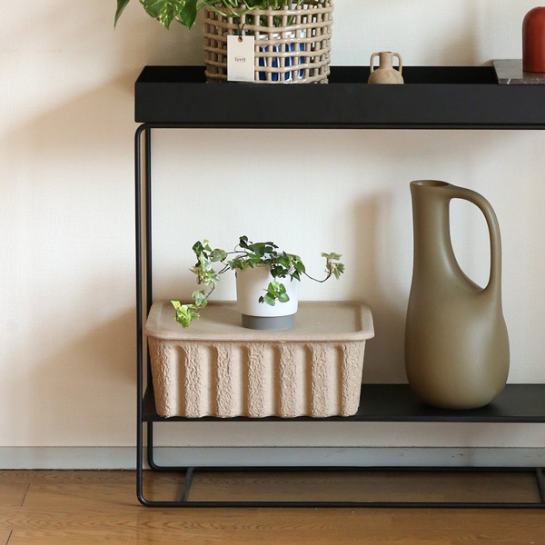 ground (������) �ե�/���꡼��ݥå� M �����ܥ꡼/���졼 ����ȭ/��������/����ƥꥢ/����ץ�/�ץ�󥿡�/�����ƥ��ʥ֥�ƫ��