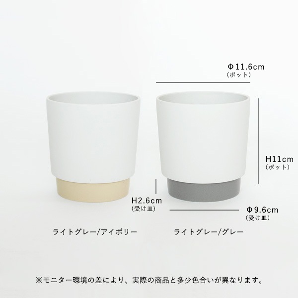 ground (������) �ե�/���꡼��ݥå� M �����ܥ꡼/���졼 ����ȭ/��������/����ƥꥢ/����ץ�/�ץ�󥿡�/�����ƥ��ʥ֥�ƫ��