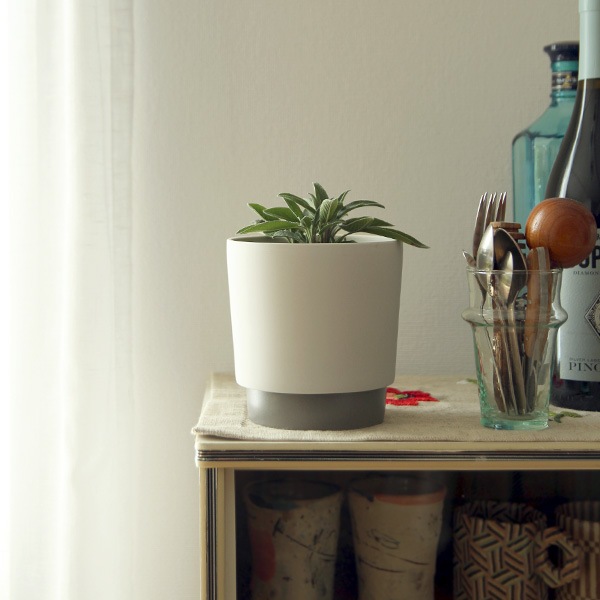 ground (������) �ե�/���꡼��ݥå� M �����ܥ꡼/���졼 ����ȭ/��������/����ƥꥢ/����ץ�/�ץ�󥿡�/�����ƥ��ʥ֥�ƫ��