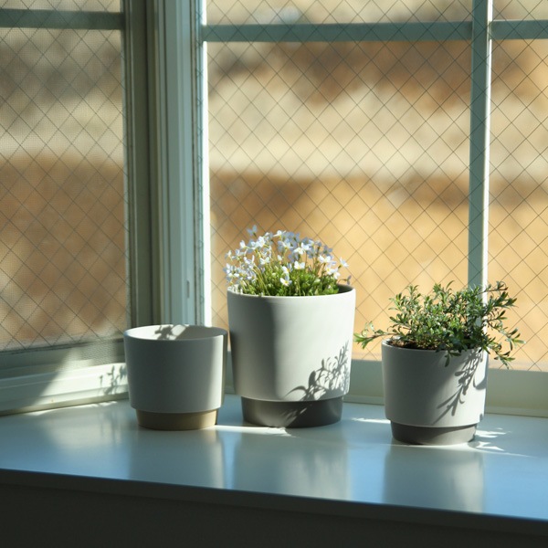 ground (������) �ե�/���꡼��ݥå� M �����ܥ꡼/���졼 ����ȭ/��������/����ƥꥢ/����ץ�/�ץ�󥿡�/�����ƥ��ʥ֥�ƫ��