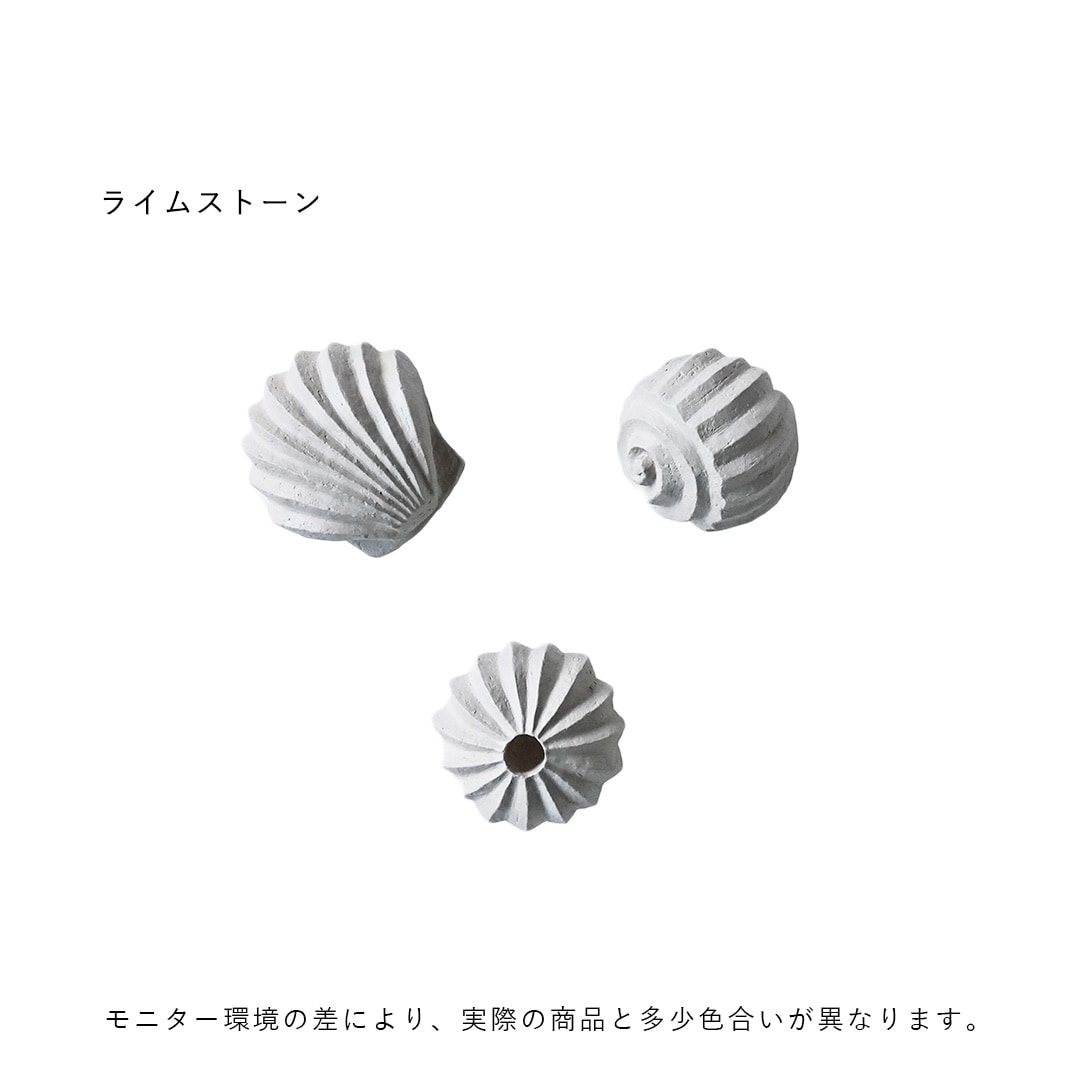 60%OFFCooee Design (ǥ) Sculp The Genesis Shells 3ĥå /饤ॹȡ /̲/ƥꥢ/֥/Ź