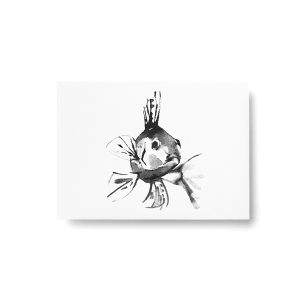 Teemu Jarvi (�ơ��ࡦ������) �ݥ��ȥ����� A6 PERCH (�ѡ���) �̲�/����ƥꥢ/������������Ź��/�ݥ������ڥ᡼���ء�