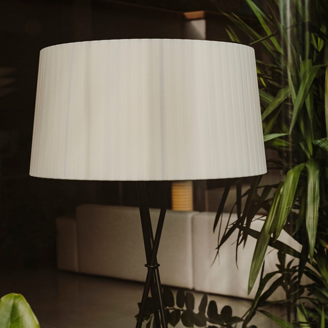 �ڤ����󤻡� SANTA&COLE (���󥿥���ɥ�����) TRIPODE G5 (�ȥ饤�ݥå� ����5) �ʥ�����/��åɥ���С�/�֥�å� ����/�̲�/����ƥꥢ/���ܾ���/�ե������� ���緿������