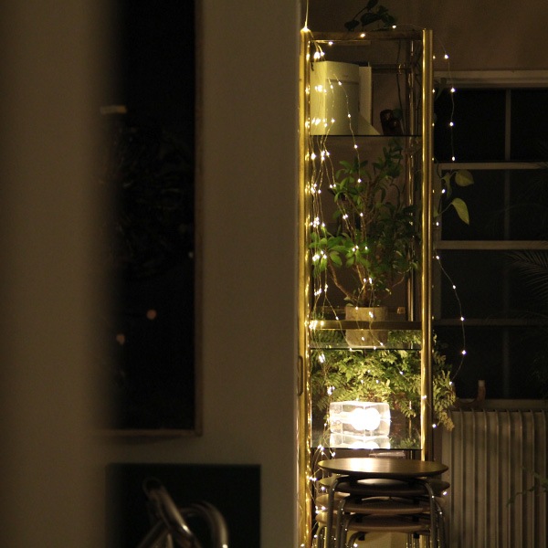 SWAN (������Ŵ�)��Another Garden��LED ���ѡ����顼�եå� 2m��10��/3m��6�� ������ե�å���(����)/�ե�å���(�ŵ忧) ����ƥꥢ/�������ɥ饤��/����ߥ͡������