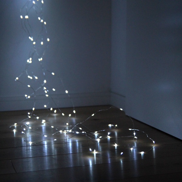 SWAN (������Ŵ�)��Another Garden��LED ���ѡ����顼�եå� 2m��10��/3m��6�� ������ե�å���(����)/�ե�å���(�ŵ忧) ����ƥꥢ/�������ɥ饤��/����ߥ͡������