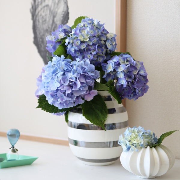 KAHLER (�����顼) ���ޥ��� �ե��١��� �ߥǥ����� ����С� ������������Ź�� 