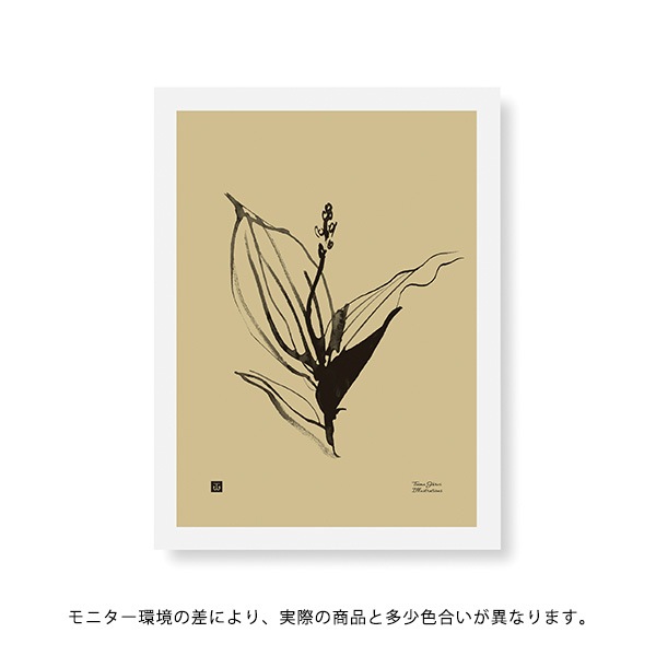 Teemu Jarvi (�ơ��ࡦ������) �ݥ����� 30��40cm LILY OF THE VALLEY�ʤ������� �̲�/����ƥꥢ/������������Ź��/������/����ץ�/�ɳݤ�