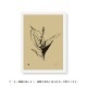 Teemu Jarvi (�ơ��ࡦ������) �ݥ����� 30��40cm LILY OF THE VALLEY�ʤ������� �̲�/����ƥꥢ/������������Ź��/������/����ץ�/�ɳݤ�