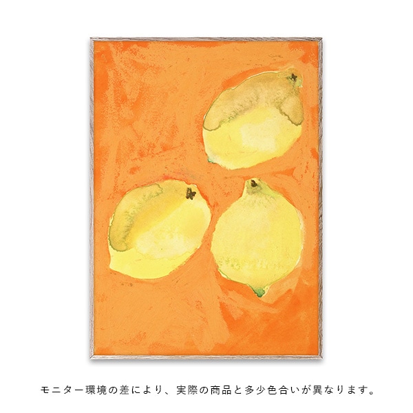 ڼȯPaper Collective (ڡѡ쥯ƥ) ݥ 5070 Lemons ̲/ƥꥢ//Źʡڿǥ