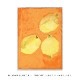 ڥڡоݡۡڤ󤻡Paper Collective (ڡѡ쥯ƥ) ݥ 5070 Lemons ̲/ƥꥢ//Ź