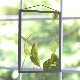 ڥڡоݡۡڤ󤻡Paper Collective (ڡѡ쥯ƥ) ݥ A4 Floating Leaves 08 ꥢ ̲/ƥꥢ/Ź