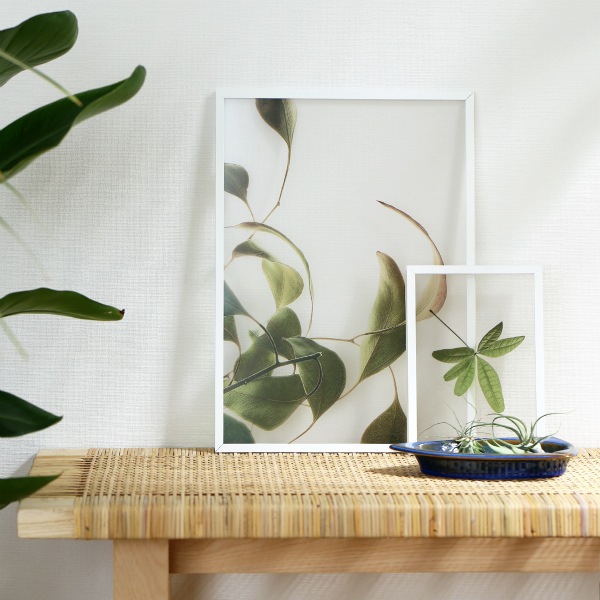 ڥڡоݡۡڤ󤻡Paper Collective (ڡѡ쥯ƥ) ݥ A3 Floating Leaves 08 ꥢ ̲/ƥꥢ/Ź 